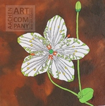 Aachen-ART-Company, Kiki Bragard