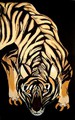 Aachen-Art-Company by Kiki Bragard