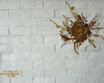 Aachen Art Company - Kiki Bragard