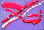 Aachen Art Company - Kiki Bragard